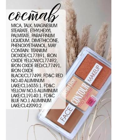 Alvin D'Or Palette 3 in 1 for face (contouring+highlighter+blush) tone 02 - Buy Online on GoSupps.com