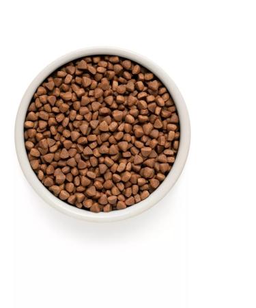 Grandorf Cat food 400 g - Buy Online on GoSupps.com