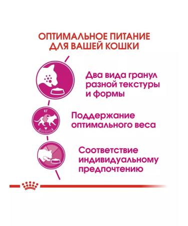 ROYAL CANIN Dry food Savour Exigent to pick up cats from 1 year 2kg - Buy Online on GoSupps.com