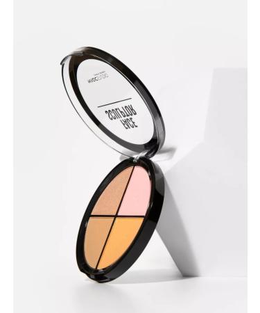 MAGIC STUDIO Facial sculptor dry 4 in 1 - Buy Online on GoSupps.com