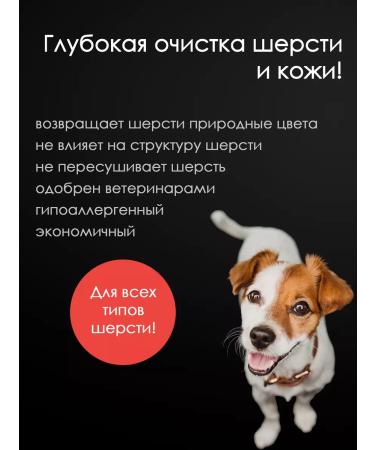 Doctor Groom Shampoo deep cleansing for dogs of all rocks 200ml - Buy Online on GoSupps.com