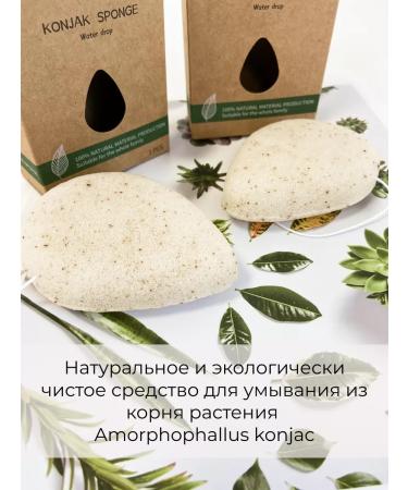 CLEANSE Copzhaka sponge for washing the face 2 pcs - Buy Online on GoSupps.com
