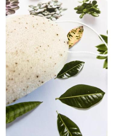 CLEANSE Copzhaka sponge for washing the face 2 pcs - Buy Online on GoSupps.com