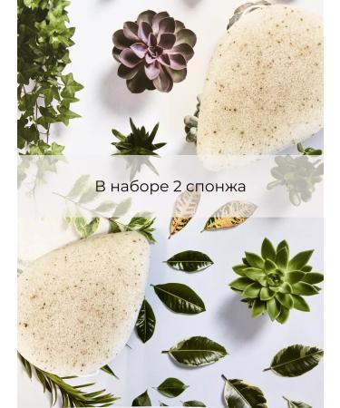 CLEANSE Copzhaka sponge for washing the face 2 pcs - Buy Online on GoSupps.com