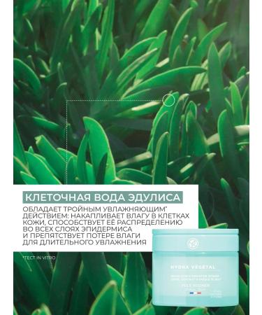 Yves Rocher Moisturizing face cream & Night Mask - Buy Online on GoSupps.com