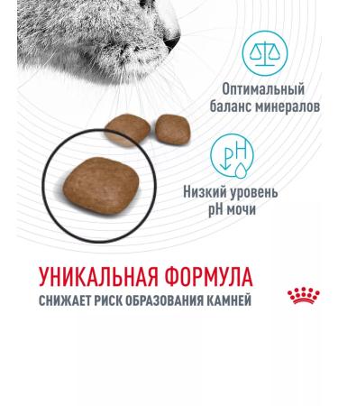 ROYAL CANIN Dry feed urine car for cats prevention of ICD 2kg - Buy Online on GoSupps.com