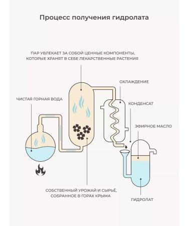 Lavender Land Facial hydrolate spray from acne tonic from acne - Buy Online on GoSupps.com