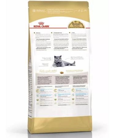 ROYAL CANIN Dry Britishhorthairadult food for British cats 400g - Buy Online on GoSupps.com