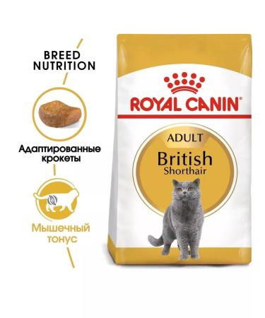 ROYAL CANIN Dry Britishhorthairadult food for British cats 400g - Buy Online on GoSupps.com