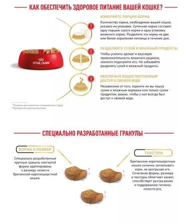 ROYAL CANIN Dry Britishhorthairadult food for British cats 400g - Buy Online on GoSupps.com