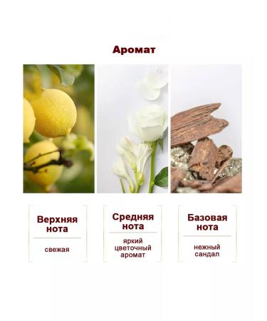 SHOYUM Set aroma shampoo and air conditioners for - Buy Online on GoSupps.com