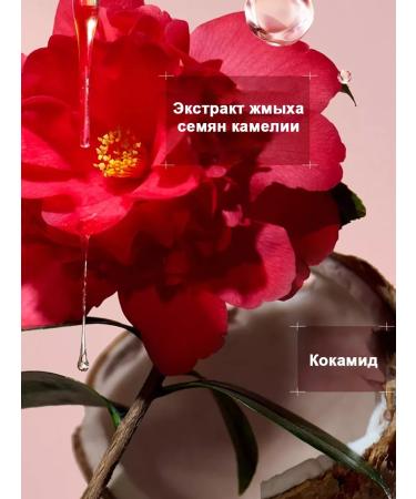 SHOYUM Set aroma shampoo and air conditioners for - Buy Online on GoSupps.com