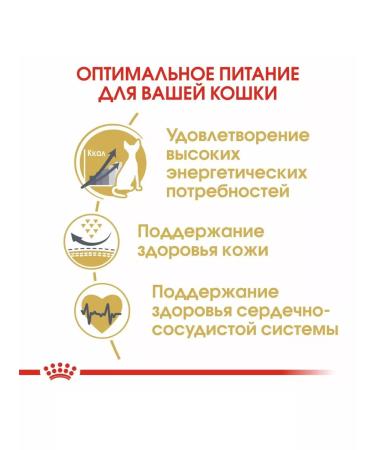 ROYAL CANIN Dry food sphynx adult for sphinx cats 2 kg - Buy Online on GoSupps.com