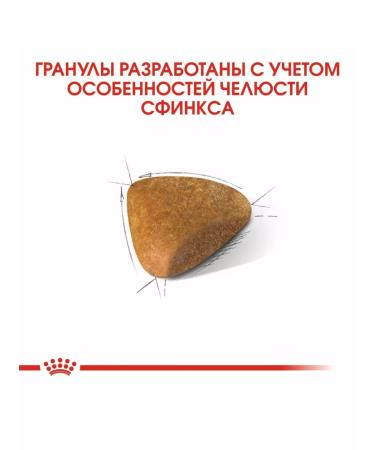 ROYAL CANIN Dry food sphynx adult for sphinx cats 2 kg - Buy Online on GoSupps.com