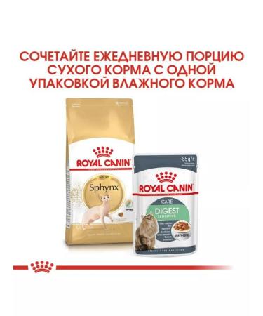 ROYAL CANIN Dry food sphynx adult for sphinx cats 2 kg - Buy Online on GoSupps.com