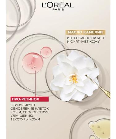 L'OREAL PARIS Daily cream age expert 45+ 50 ml - Buy Online on GoSupps.com