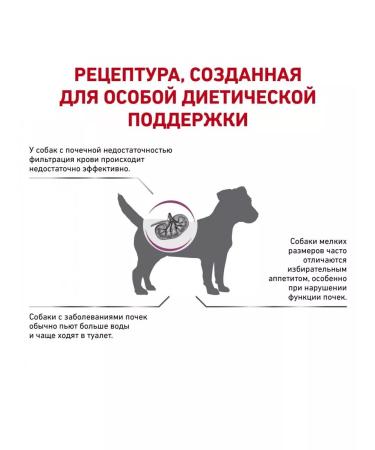 ROYAL CANIN Dry food for reeds Renal Small Dog 500 g - Buy Online on GoSupps.com