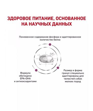 ROYAL CANIN Dry food for reeds Renal Small Dog 3.5 kg - Buy Online on GoSupps.com