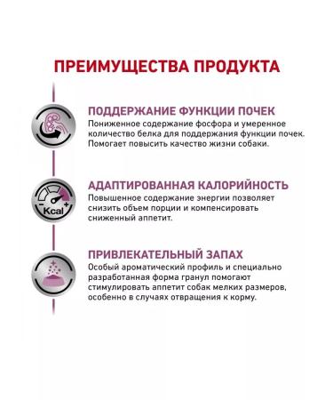 ROYAL CANIN Dry food for reeds Renal Small Dog 3.5 kg - Buy Online on GoSupps.com