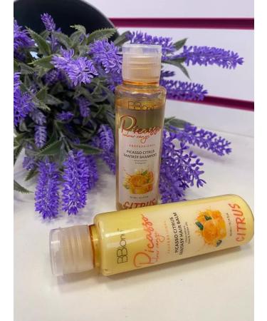 BB One Professional shampoo and balm Picasso Citrus 2*60 ml