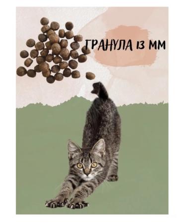 SECRET FOR PETS premium Dry food for cats meat stew 2 kg Secrets - Buy Online on GoSupps.com