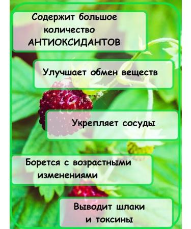 EMPIRE OF TEA Green tea leaf with strawberry oolon as a gift - Buy Online on GoSupps.com