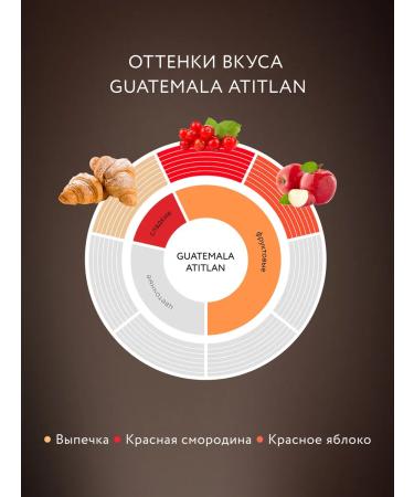 JARDIN Soluble coffee Guatemala Atitlan 190 g - Buy Online on GoSupps.com