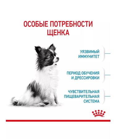 ROYAL CANIN Feeds Sukh Xsmallpuppy for very small puppies up to 10 months 500g - Buy Online on GoSupps.com