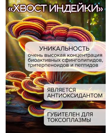 Inner Health Trametes multi -colored mycelium 30 servings - Buy Online on GoSupps.com