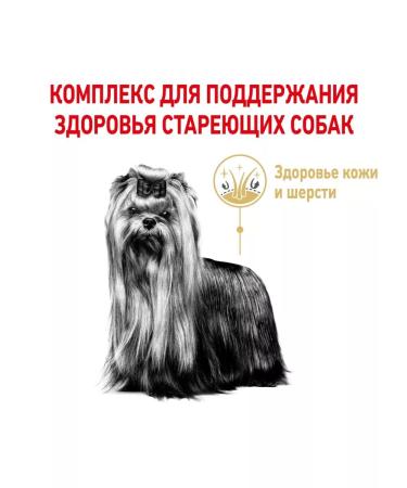 ROYAL CANIN Dry food yorkshireterrier8+ for terriers from 8 years 500g - Buy Online on GoSupps.com