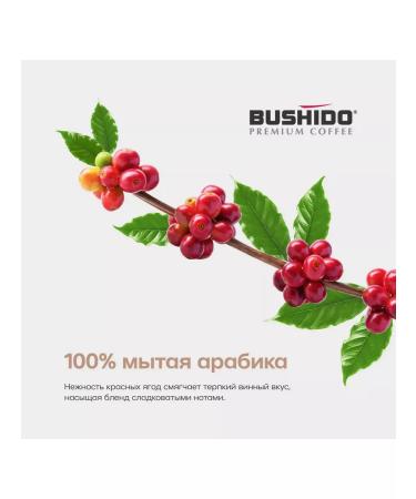 Bushido Red katana 100 g 2 pieces of coffee is soluble - Buy Online on GoSupps.com