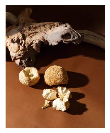 Forest vibe Ezhovik creped fruit body 100 grams - Buy Online on GoSupps.com