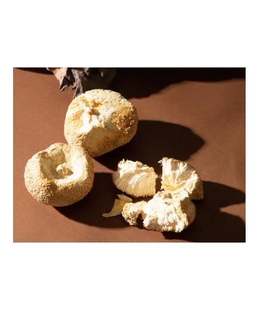 Forest vibe Ezhovik creped fruit body 100 grams - Buy Online on GoSupps.com