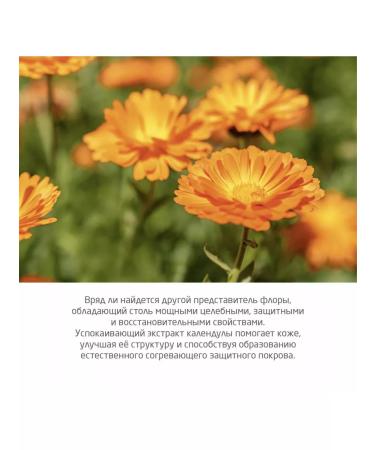 WELEDA Protective balm from wind and cold with calendula 30 ml - Buy Online on GoSupps.com