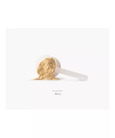 Protein Golden 7 Protein Blend Maxler 907 gr - Buy Online on GoSupps.com