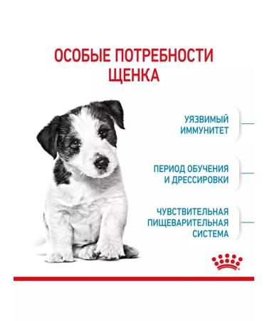 ROYAL CANIN Dry Mini Puppy food for small puppies up to 10 months 2kg - Buy Online on GoSupps.com