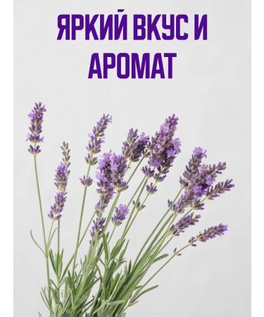 bee lab Lavender syrup in a bottle of the taiga cache 240 ml - Buy Online on GoSupps.com