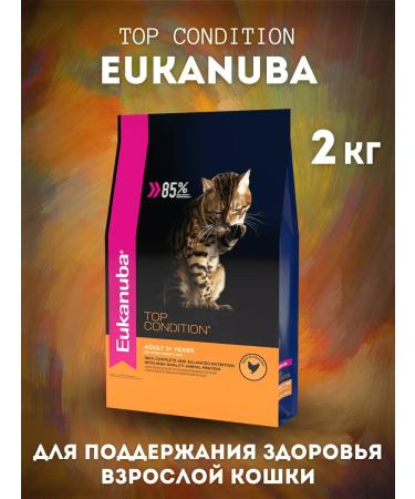 Eukanuba Dry food for cats with a bird 2 kg - Buy Online on GoSupps.com