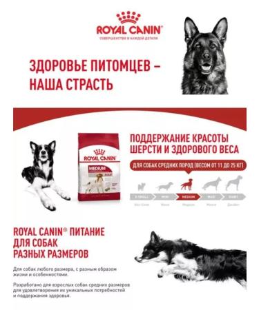 ROYAL CANIN Mediumadult dry food for medium dogs from 12 months to 7 years 3 kg - Buy Online on GoSupps.com