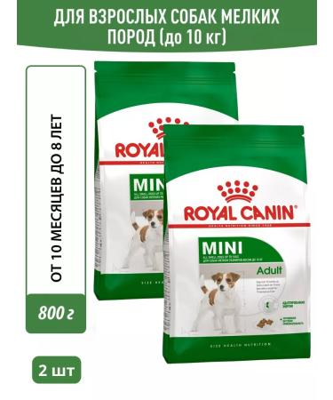 ROYAL CANIN Dry Mini Adult food for small dogs from 10 months 800g 2pcs