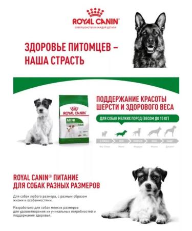 ROYAL CANIN Dry Mini Adult food for small dogs from 10 months 800g 2pcs - Buy Online on GoSupps.com