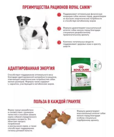 ROYAL CANIN Dry Mini Adult food for small dogs from 10 months 800g 2pcs - Buy Online on GoSupps.com