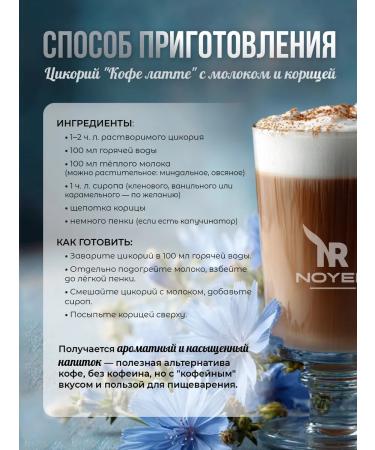 NOYER Natural chicory soluble 400g - Buy Online on GoSupps.com