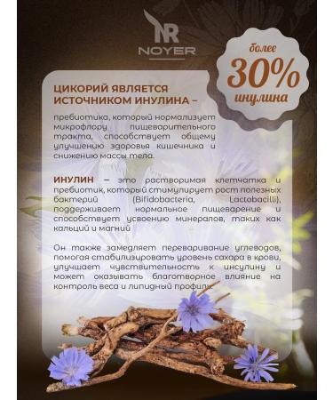 NOYER Natural chicory soluble 400g - Buy Online on GoSupps.com