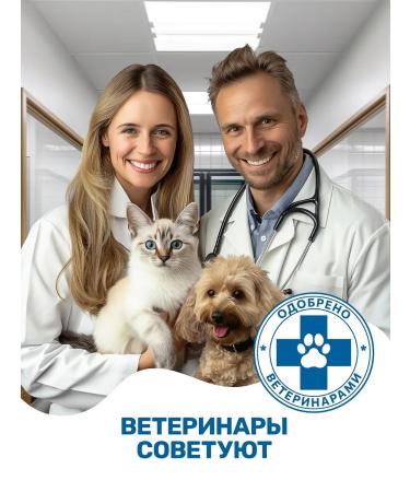 ZOORIK Hypoallergenic shampoo and soap for dog and cat paws 1000 m  - Buy Online on GoSupps.com