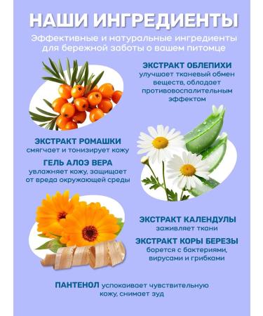 ZOORIK Hypoallergenic shampoo and soap for dog and cat paws 1000 m  - Buy Online on GoSupps.com