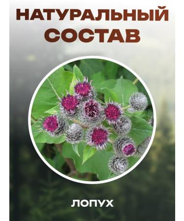 bee lab Food supplement Extract of burdock roots 126 caps - Buy Online on GoSupps.com