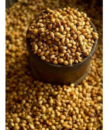NOYER Coriander seeds (grain) 300g - Buy Online on GoSupps.com