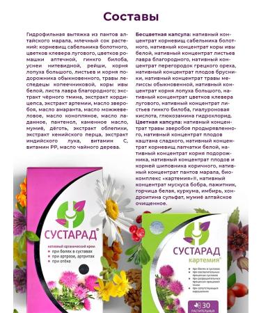 Sashera honey Cream and joints for joints from joint joint Cartemia - Buy Online on GoSupps.com