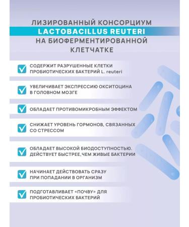 Art Life Panbiolakt mental a psychobiotic to correct brain function - Buy Online on GoSupps.com